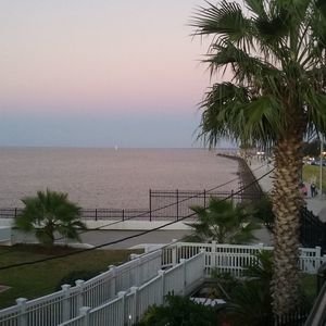 Meet your Posher, Wanda